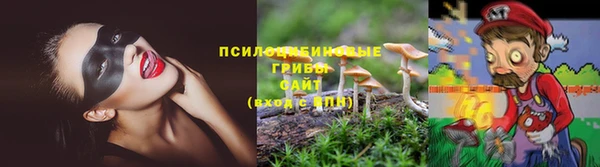 гидропоника Михайлов