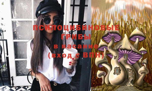 гидропоника Михайлов