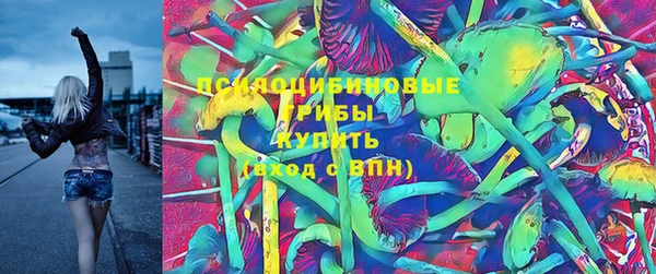 винт Михайловка
