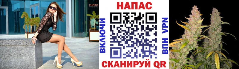 Бошки марихуана тримм  omg   Серафимович 